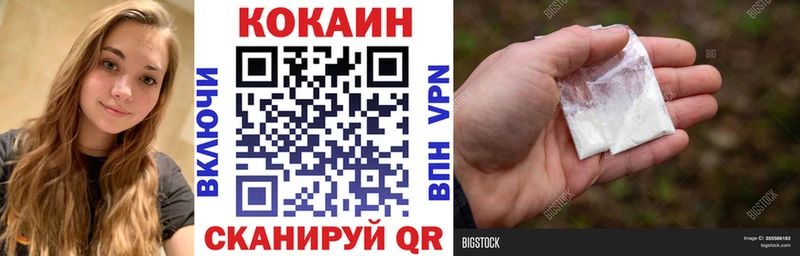 Cocaine FishScale  Купить закладки  Сухиничи 