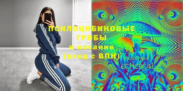 apvp Бугульма